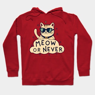 Meow Cat Hoodie